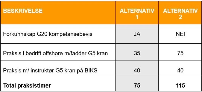 G5 praksis BIKS